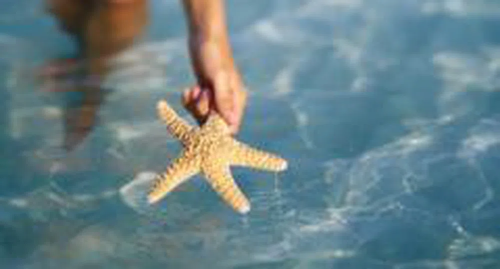 Чакаме повече германци през лятото по морето