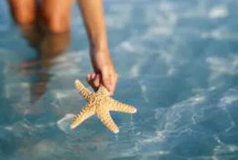 Чакаме повече германци през лятото по морето