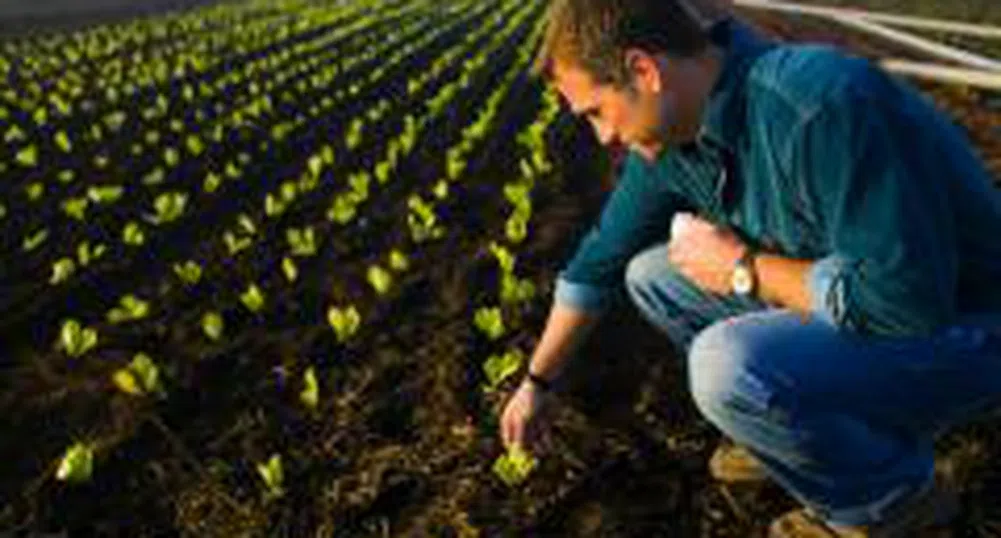 Потичат 240 млн. евро за фермери