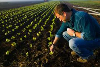 Потичат 240 млн. евро за фермери