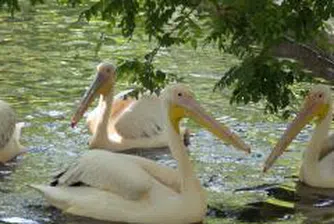 Чужденците предпочитат алтернативния туризъм