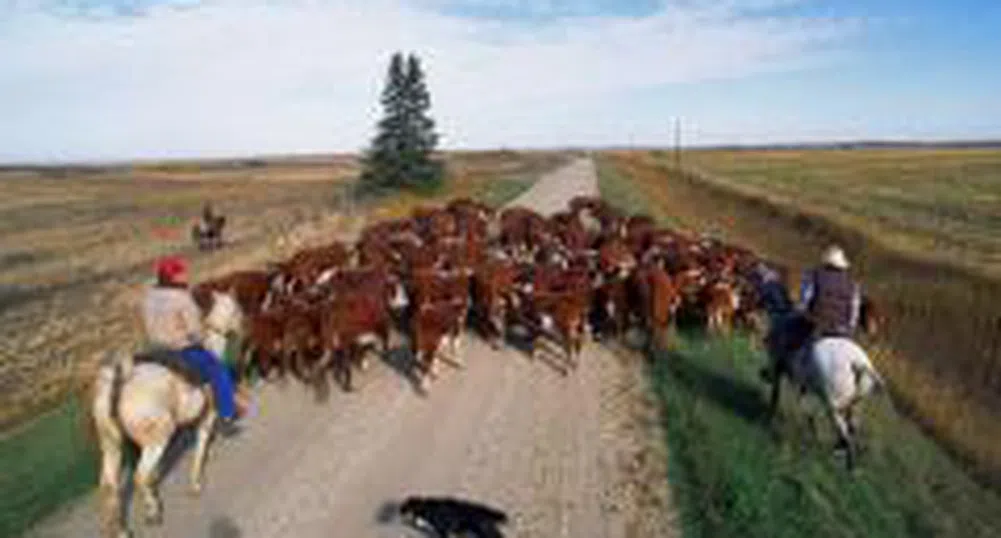 Фермери от Пловдивско подкрепиха протеста на колегите си от Врачанския район