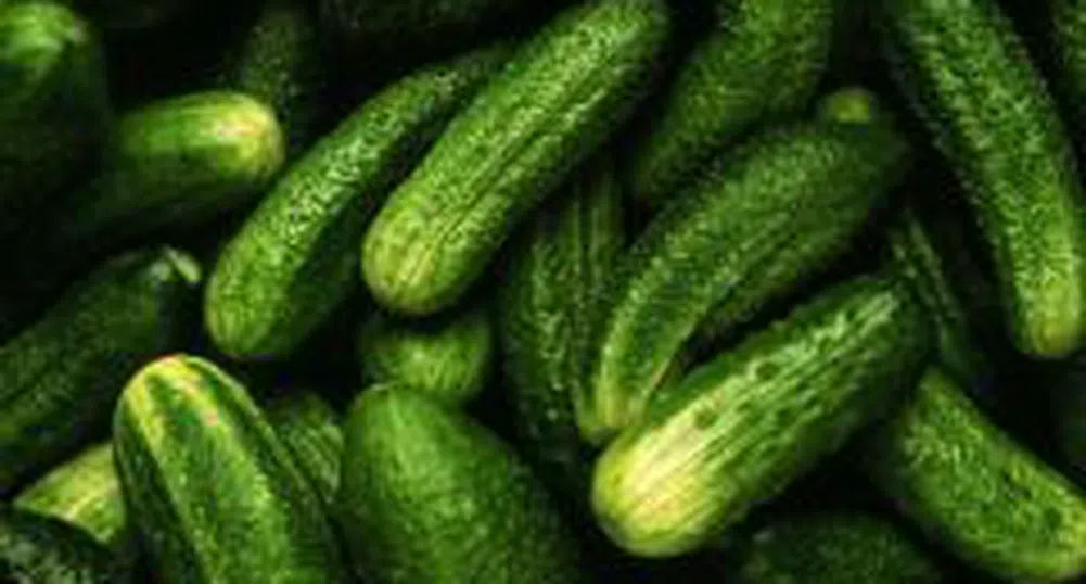 Краставиците и доматите поскъпнаха най-много за седмицата