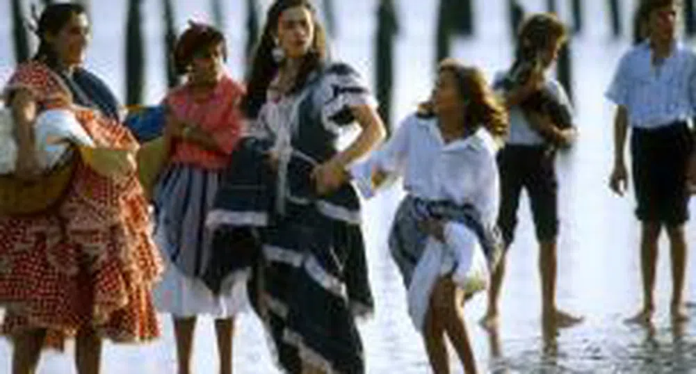 Евродепутатите възмутени от антициганските настроения