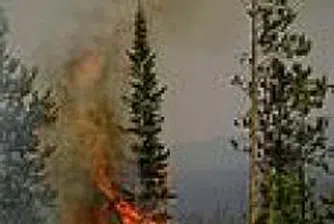 Над 1.5 млрд. евро са щетите от пожарите в Гърция