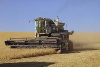 Средни добиви на зърно - най-високите за последните 16 г.