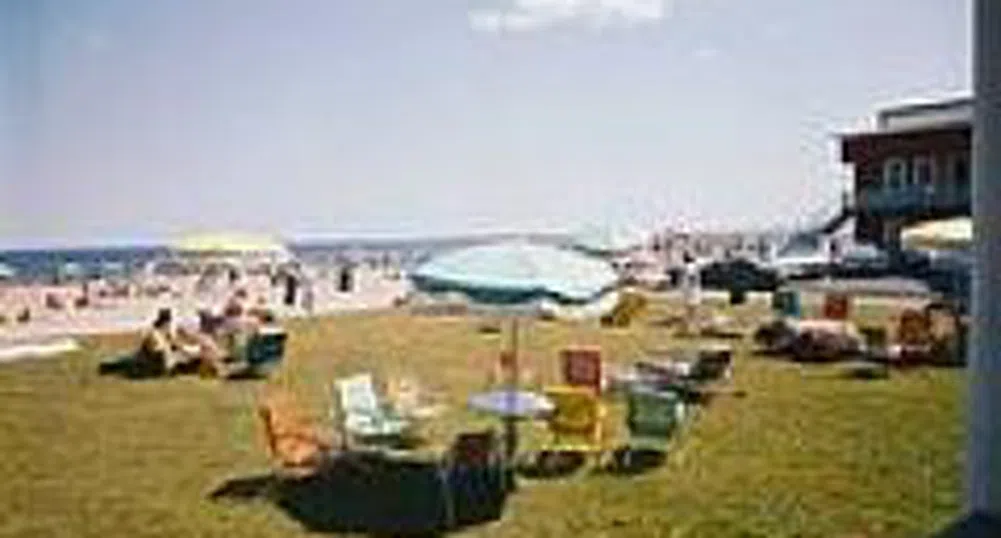 Консолидираната печалба на Албена се понижава с 21% през изминалата година