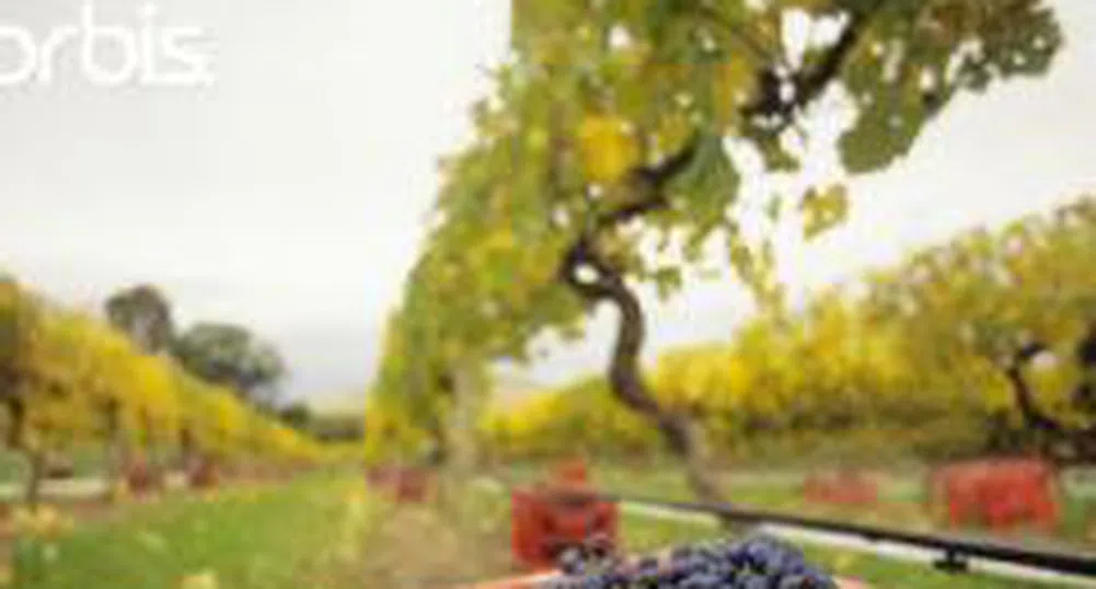 Избраха нов зам.-изпълнителен директор на ДФ "Земеделие"