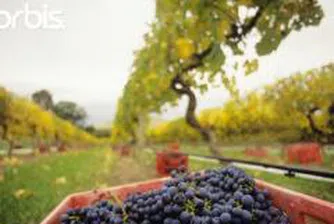 Избраха нов зам.-изпълнителен директор на ДФ "Земеделие"