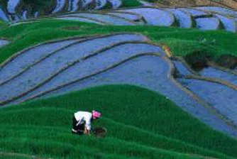 Износът на Китай неочаквано нараства с 28% през май