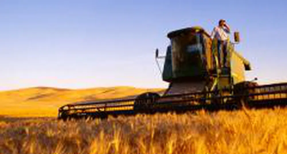 Откриха жътвата на пшеницата в Ямболско