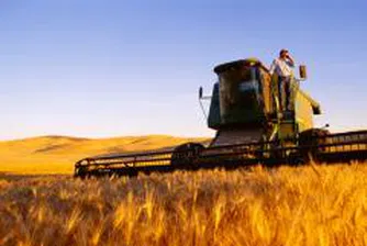 Откриха жътвата на пшеницата в Ямболско