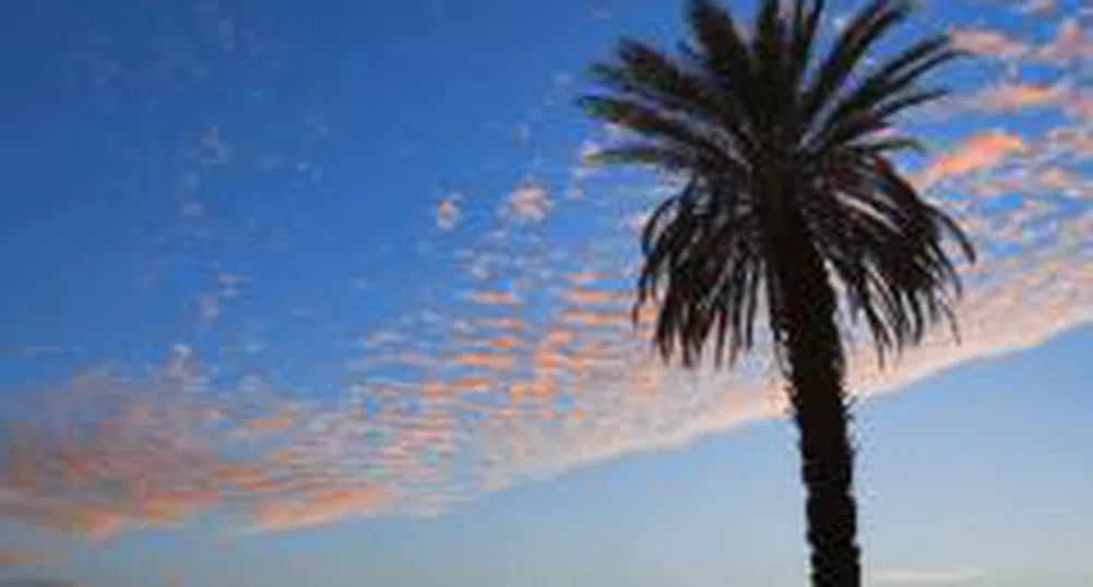 Проучване: Гърция държи палмата на първенството по скъпотия в ЕС