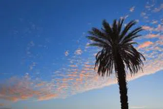 Проучване: Гърция държи палмата на първенството по скъпотия в ЕС