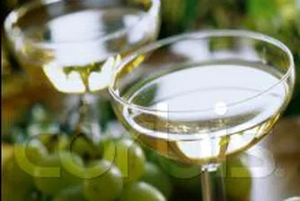 Ставаме сътрудници с Русия, изнасяме наши вина на руския пазар