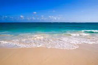 Albena's H1 Sales Revenues Up 23% Y/Y