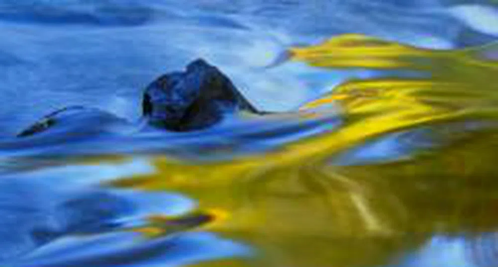 До 2011 г. с канализация ще са много нови софийски квартали