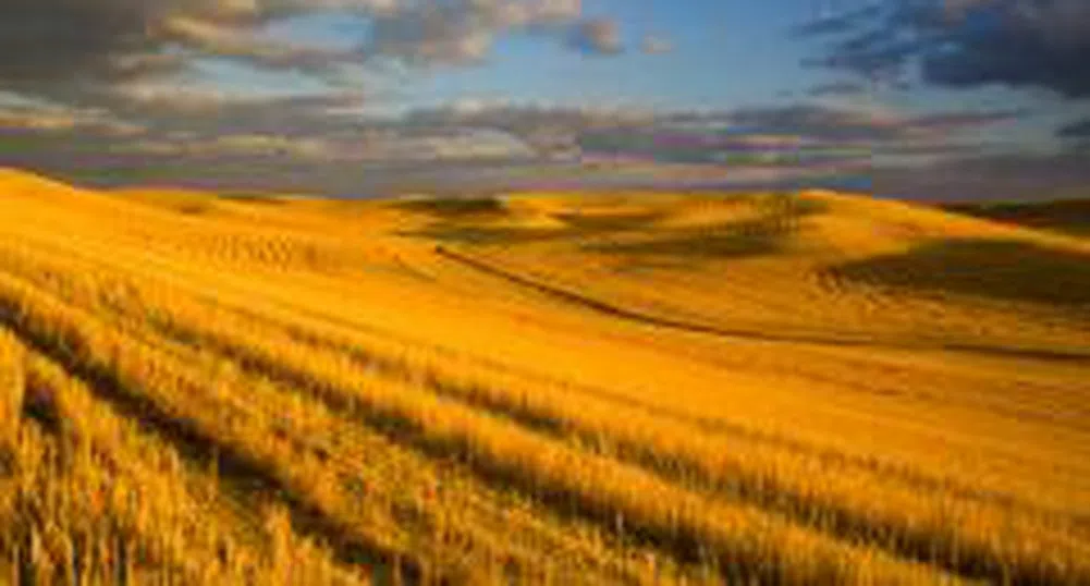 BLD is Investing in High Potential Residential Area near Sofia