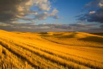 BLD is Investing in High Potential Residential Area near Sofia