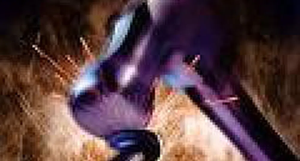 Страните от ЦИЕ се изправят пред проблем от недостиг на работна ръка