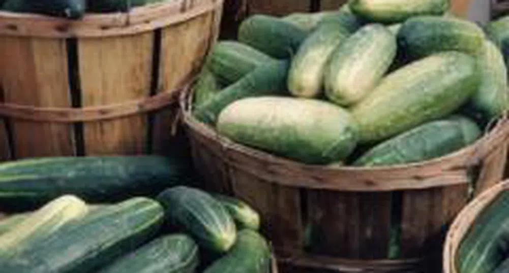 Оранжерийните краставици са поевтинели през тази седмица с 20%