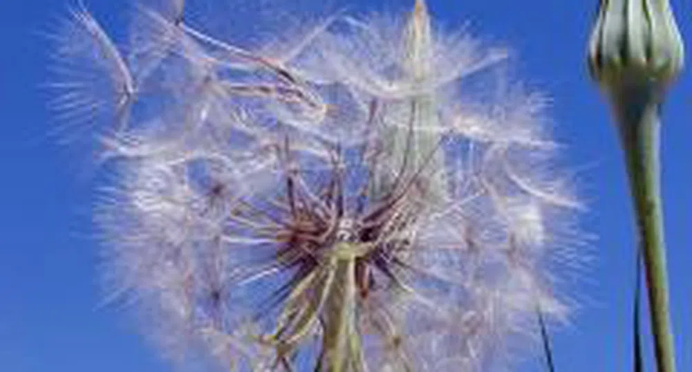 30% от нивите у нас са с екологична стойност