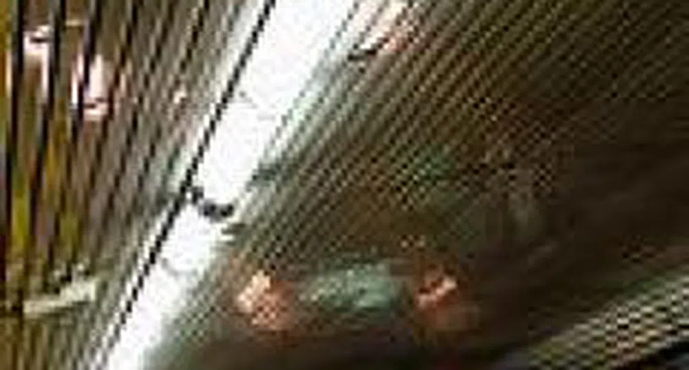 От 2009 г. пътуваме с метро от Люлин до Младост 1, а от 2011 - и от надлез Надежда до "Черни връх"