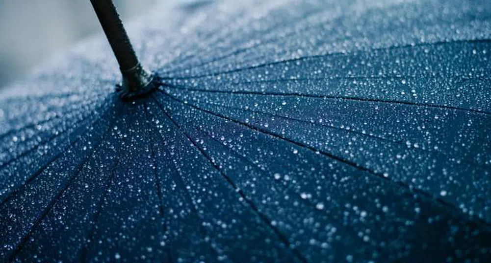 "Телеграф": Дъжд и печал подобряват паметта