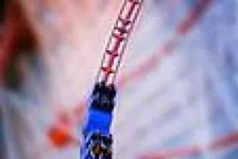 Повишен интерес към акциите на Петрол, Първа инвестиционна банка и Парк АДСИЦ