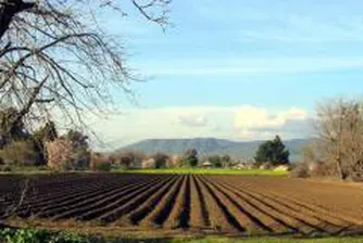 Банки погнаха фермери, кредитирани по САПАРД