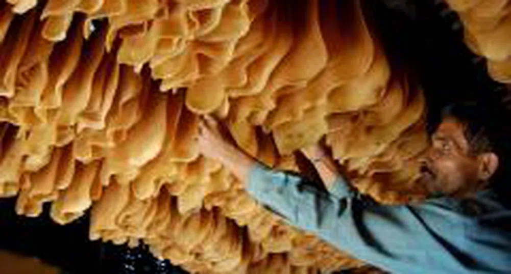 400 фирми за производство на пластмаси и каучук у нас