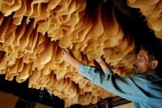 400 фирми за производство на пластмаси и каучук у нас