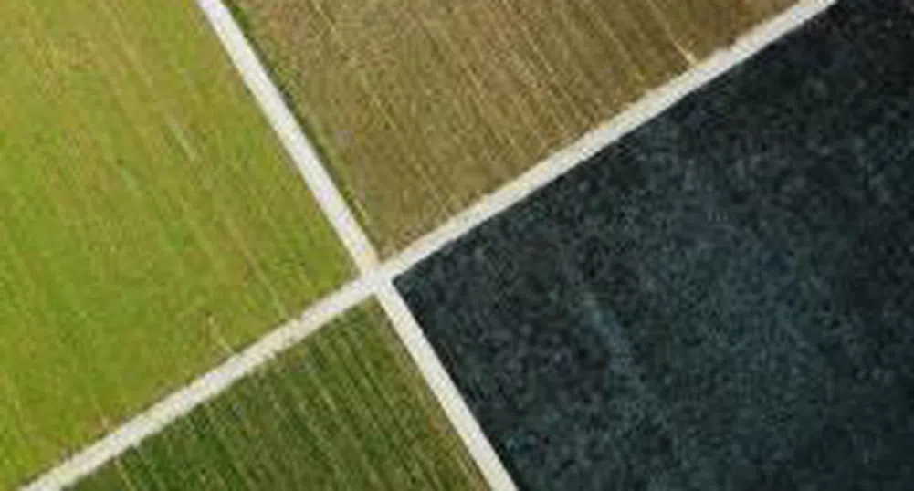 FSC Issues License to Agroenergy REIT