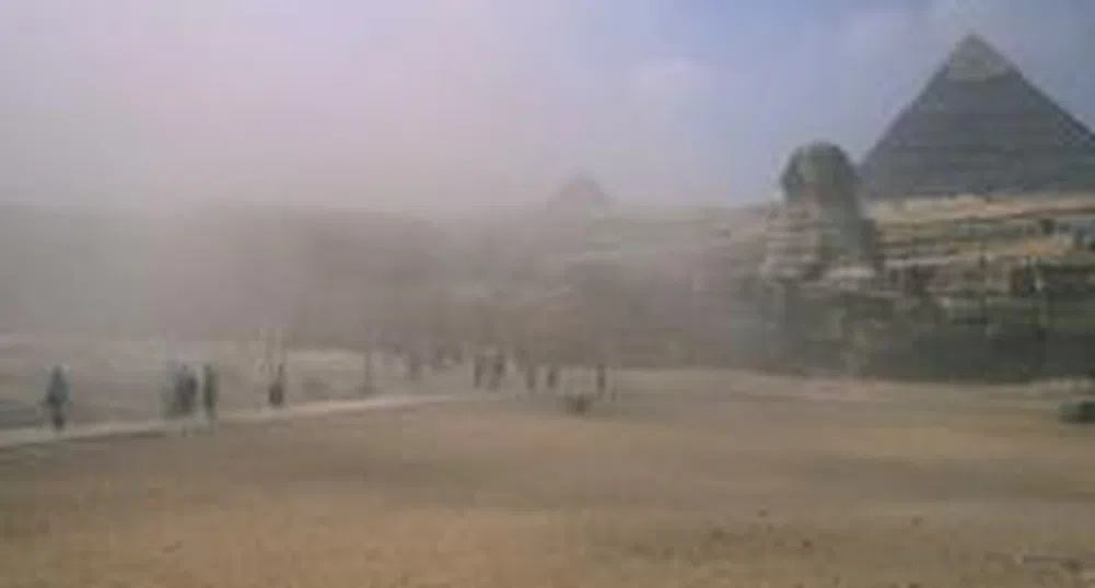 МТСП разширява българо-египетските отношения в социалната сфера