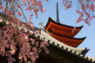 Рекорден брой туристи в Япония през първата половина на годината