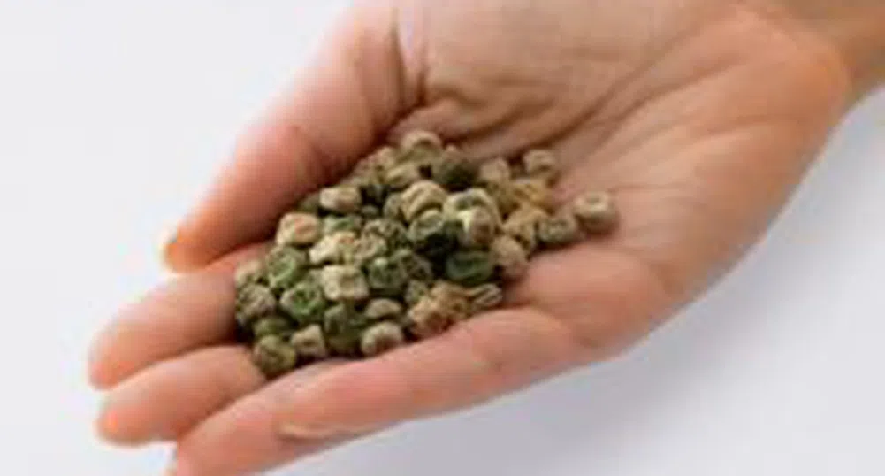 СБ: Производството на биогорива в основата на проблемите с изхранването по света