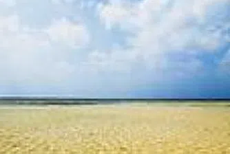 Eurasia Gold ще набира капитал от 150 млн. долара в Лондон през следващия месец