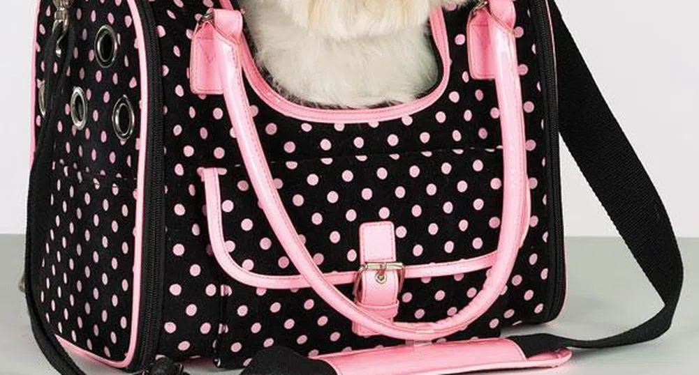 В САЩ откриха авиолинии за домашни любимци