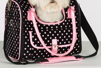 В САЩ откриха авиолинии за домашни любимци