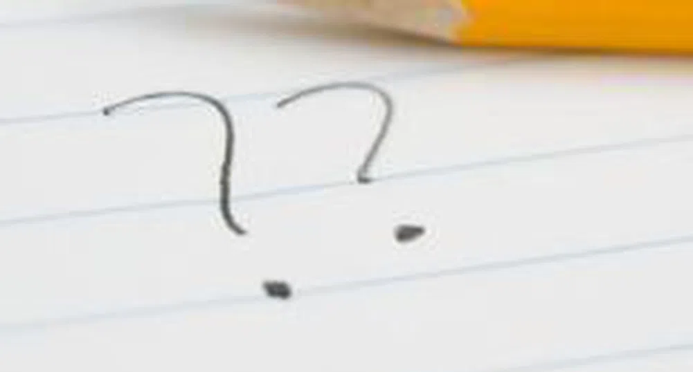 Why Half of Bulgarian Mutual Funds Provided Negative Return in the Last Year?