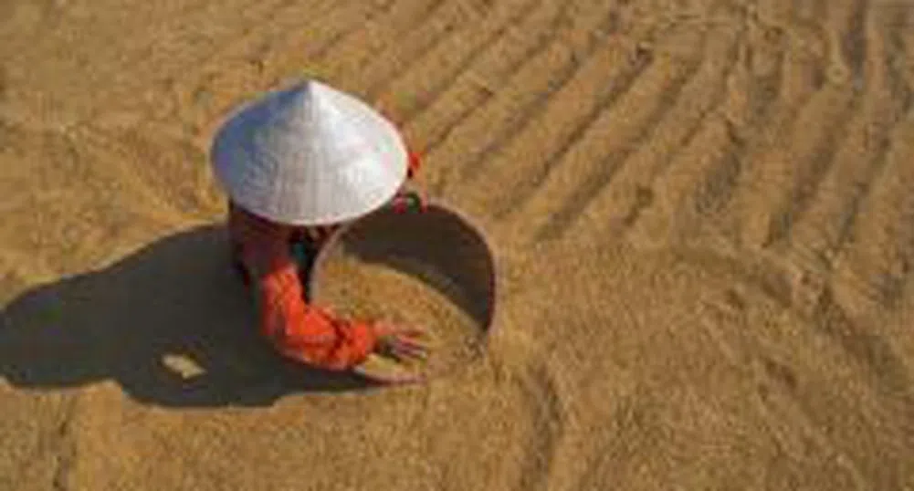 Над 820 хил. тона зърно има в складовете