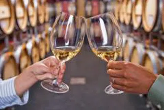 838 мостри в националния конкурс за най-качествени вина, ракии и бренди