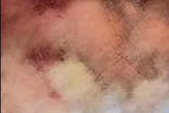 Богатството на най-богатите в света се повишава с 11.4%, до 37.2 трлн. долара през 2006 г.