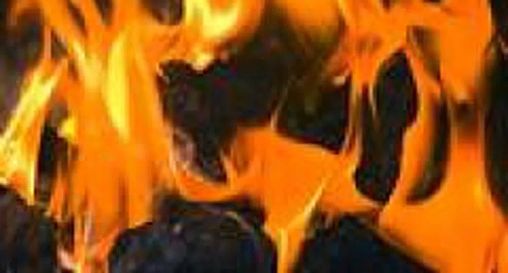 Въглищата отново са фаворити