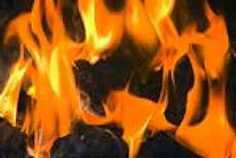 Въглищата отново са фаворити