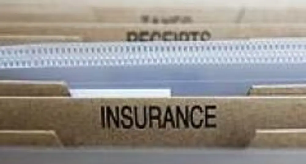 The Most Profitable Insurers in Romania