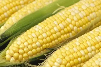 Царевицата може да поевтинее с 31%