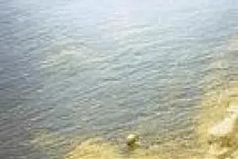 Златото и среброто с нови деветмесечни максимуми през миналата седмица