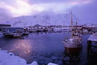 Снегът затруднява работата на пристанището в Лом