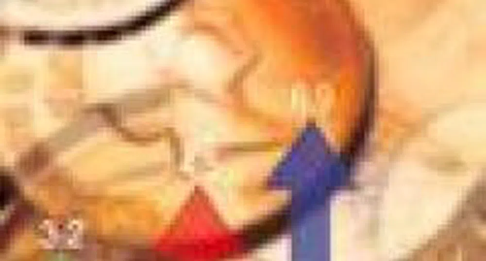 Three Holdings Are The Most Profitable In BG40 In 2007 First Half